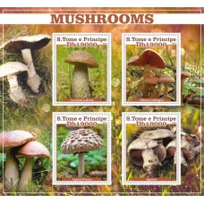 Flora mushrooms